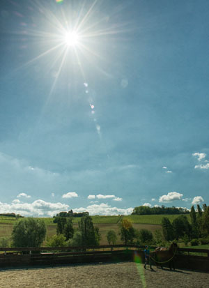 agriturismo I Salici Ridenti in Nizza Monferrato